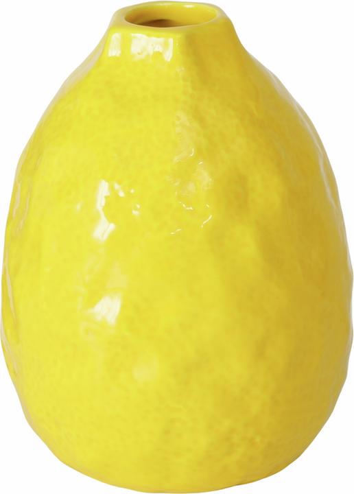 Boltze Home Citronnelle (1 x, 28 x 28 x 18 cm)
