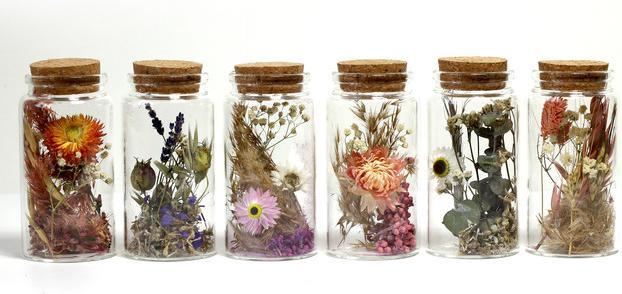 Produktbild Artoz Trockenblumen (12 cm)