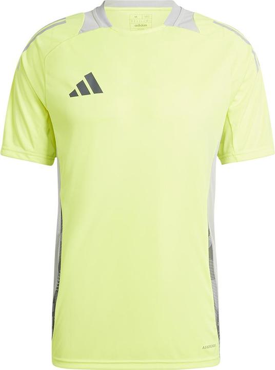 adidas TIRO24 C TR JSY (M)