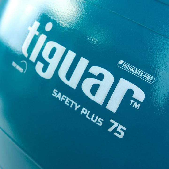 Actual product image Tiguar Gym ball Safety Plus, 75cm (75 cm)