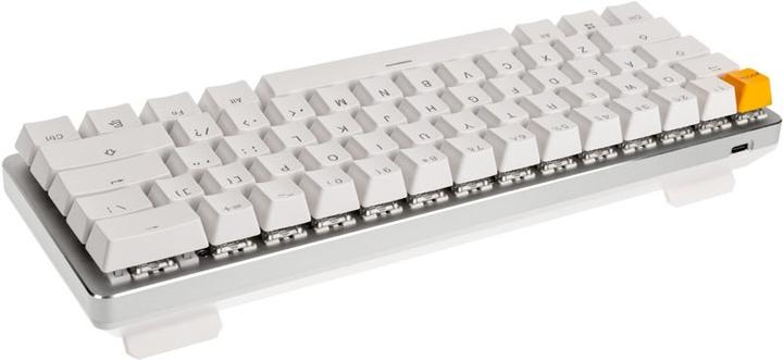Actual product image Glorious PC Gaming Race White Ice (US, Cable)
