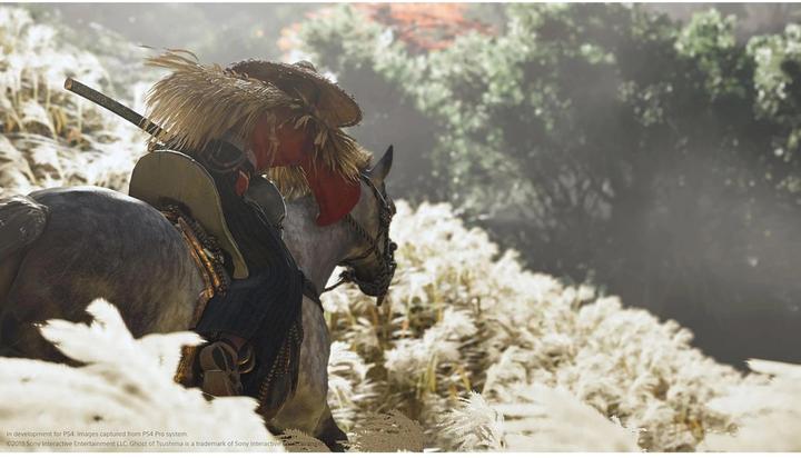 Produktbild Sony Ghost of Tsushima Director’s Cut (PS5, Multilingual)