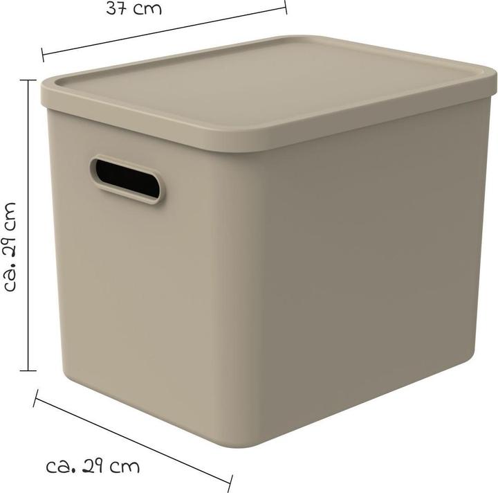 Actual product image Rotho Babydesign Spielzeugbox KAYO L Cappuccino