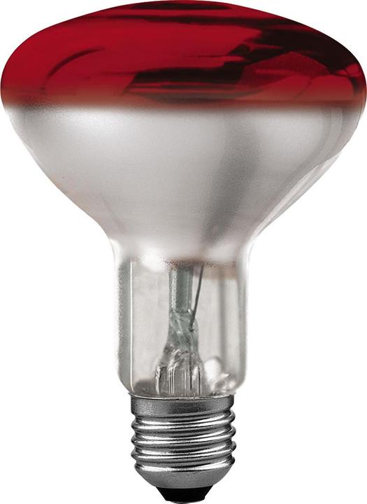 Scharnberger+Hasenbein Infrared radiant heater (150 W)