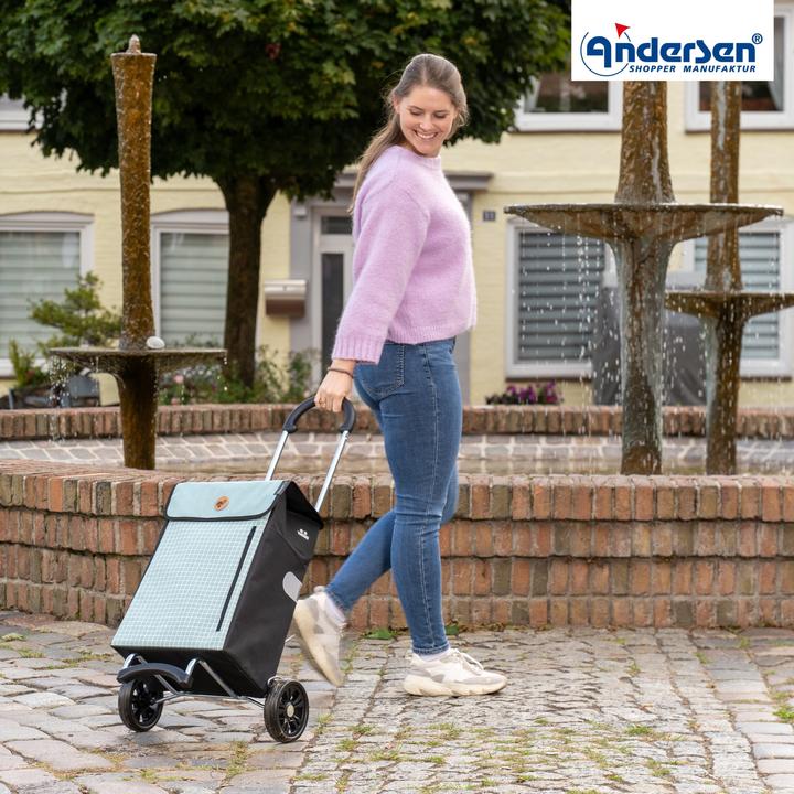 Actual product image Andersen Chariot d'achat Scala Hente