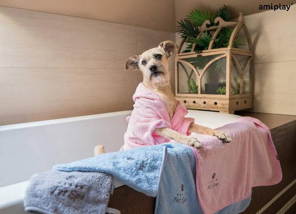 Image du produit amiplay Peignoir de bain SPA, 50 cm, gris (Peignoir pour chien)