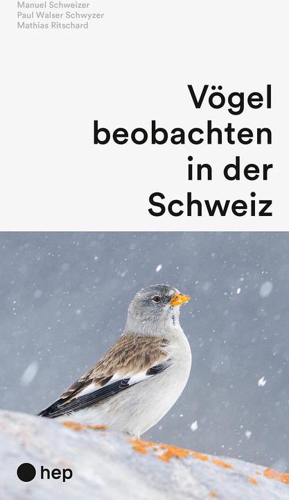 Produktbild Vögel beobachten in der Schweiz (Deutsch, Paul Walser Schwyzer, Manuel Schweizer, Mathias Ritschard, 2024)