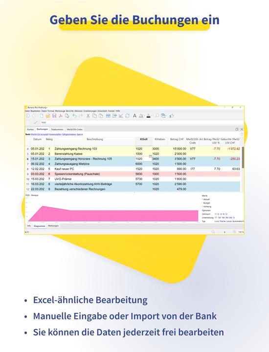 Produktbild Banana Buchhaltung Plus (12 Monate)