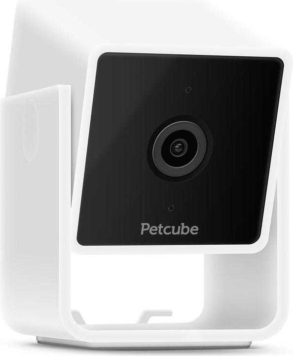 Actual product image Petcube Pet Camera (Catmint toy)