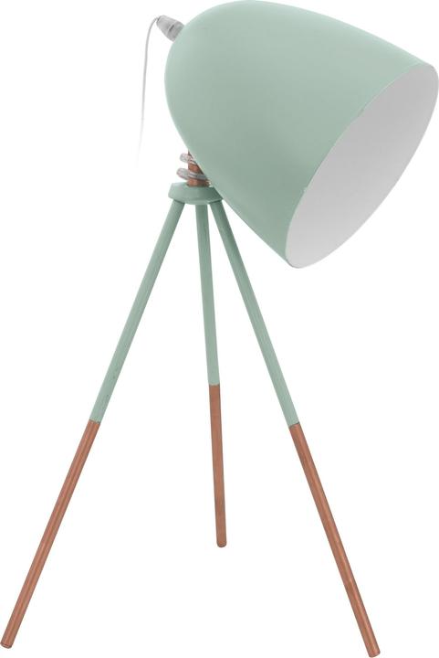 Actual product image EGLO Dundee (E27)