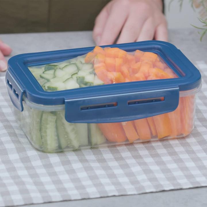 Actual product image Livington Fresh food tins