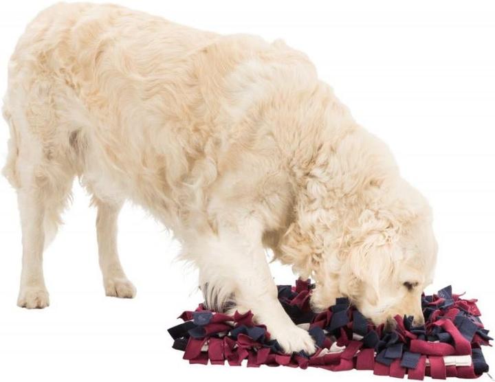 Immagine prodotto Trixie Tappeto da fiuto per le attività (Giocattolo di attività per cani)