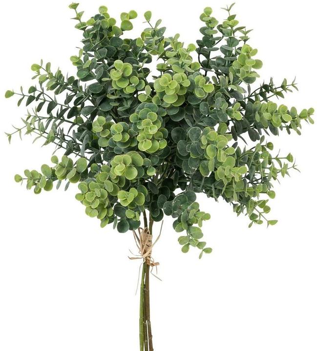 Botanic-Haus Artificial Plant Eucalyptus Bundle Set of 3, 40 cm (40 cm)