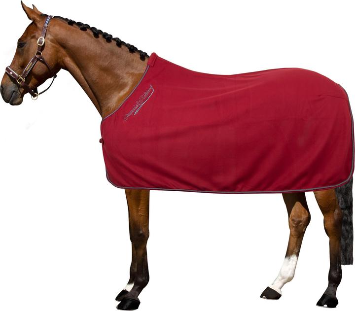 Produktbild Imperial Riding Classic (165 cm)