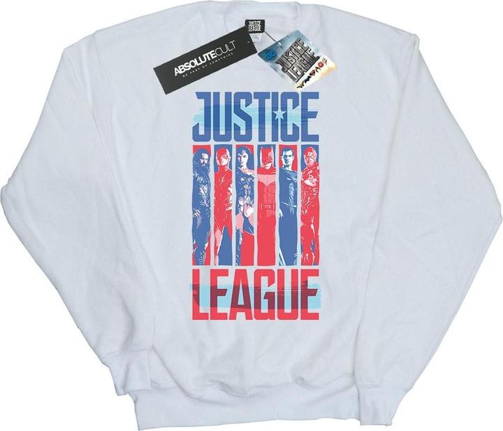 Justice League Movie Team Flag Sweatshirt (L)