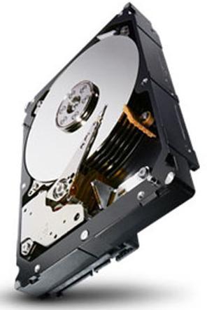 Actual product image Seagate 1TB 64MB 7200RPM 24x7 (1 TB, 3.5")