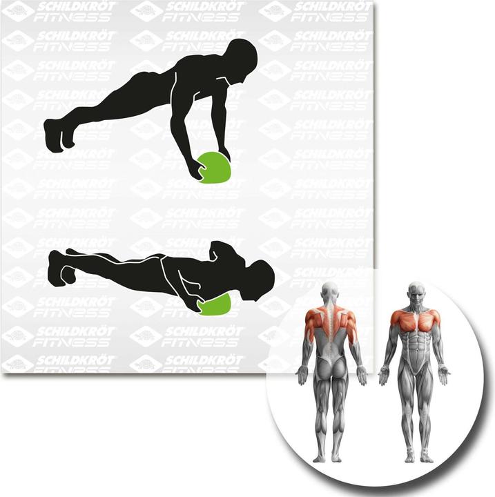 Immagine prodotto Schildkröt Slamball 3 kg (3 kg, 235 mm)
