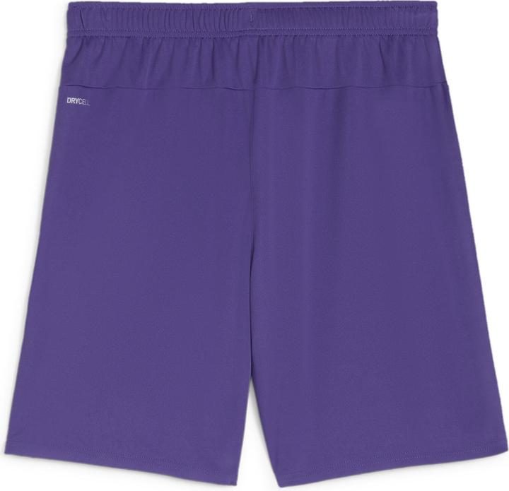 Actual product image Puma teamGOAL shorts (M)