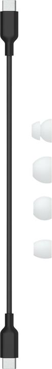 Actual product image Beats Flex (No noise cancelling, 12 h, Wireless)