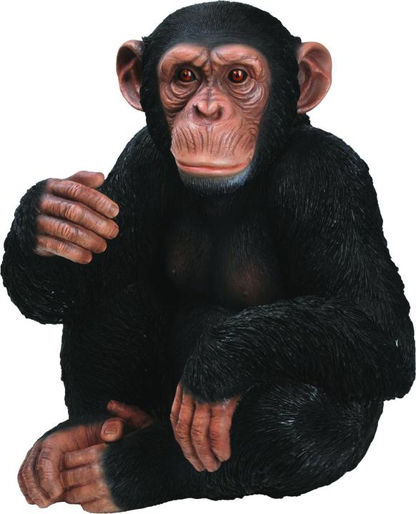 Image du produit Figure décorative chimpanzé assis (33 x 26.5 x 27.5 cm)
