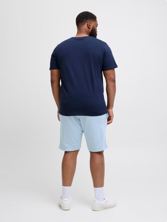 Produktbild Jack & Jones Plus Size Regular Fit Regular Fit Shorts Regular Fit Shorts (44)