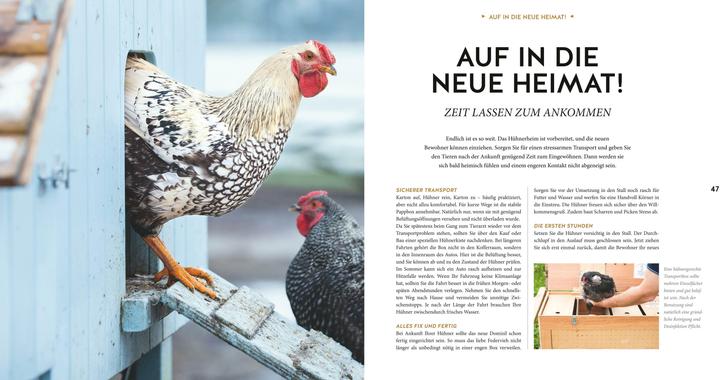 Actual product image Hühner Basics (German, Esther Schmidt, 2018)