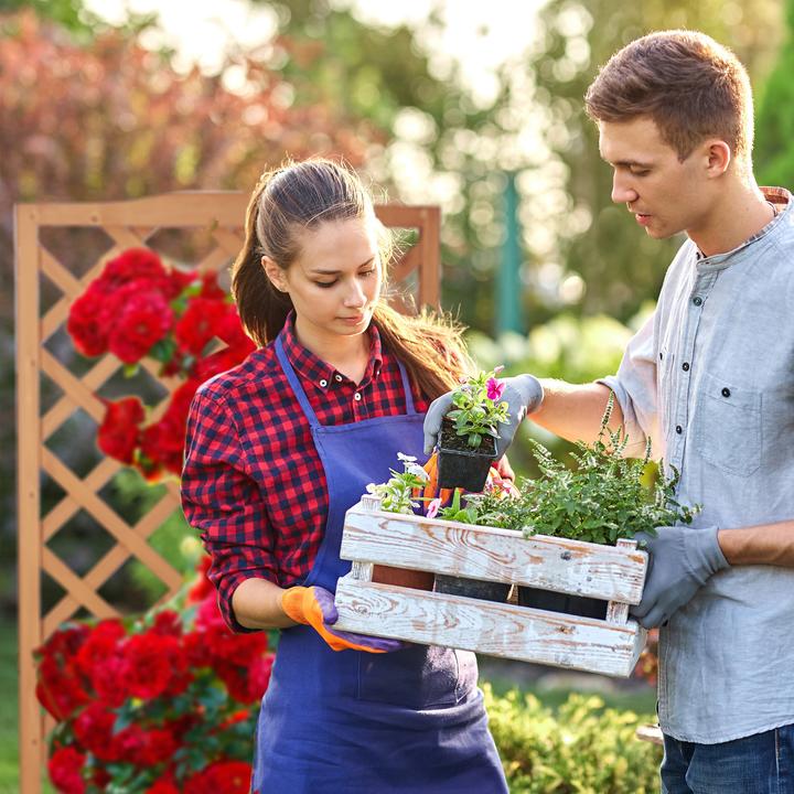 Image du produit Relaxdays Jardinière avec treillis (30 cm, 70 cm)