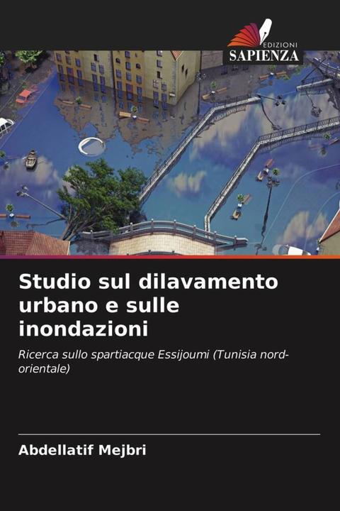Immagine prodotto Studio sul dilavamento urbano e sulle inondazioni (Abdellatif Mejbri, 2021)
