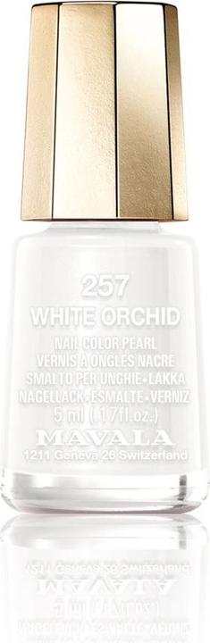 Bianco Orchidea