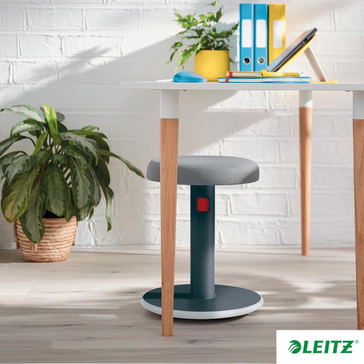 Actual product image Leitz Ergo Cosy Active