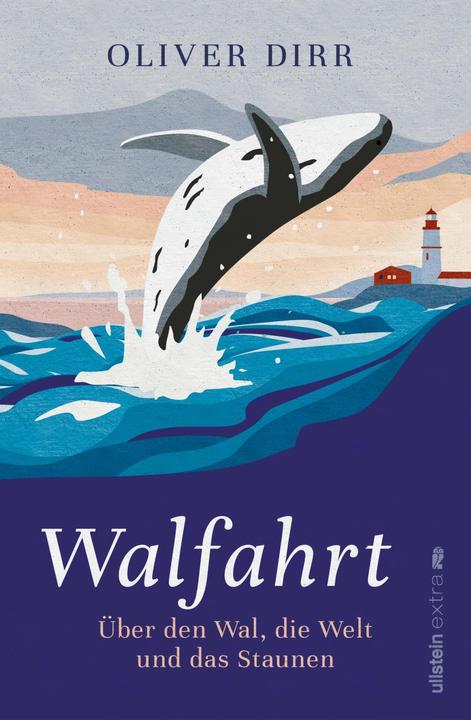 Actual product image Walfahrt (German, Oliver Dirr, 2022)