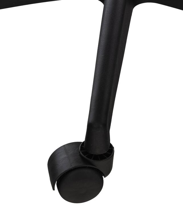 Actual product image CLP Auburn