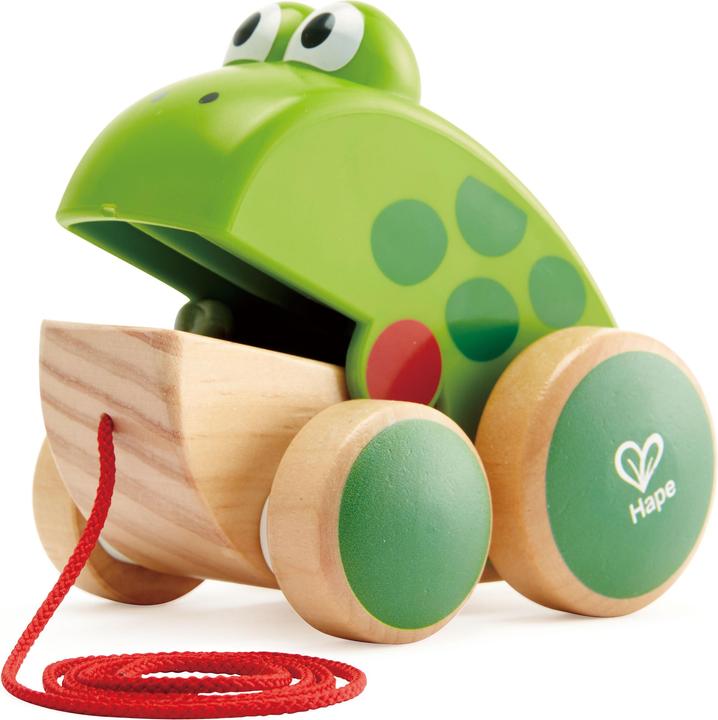 Produktbild Hape Frosch