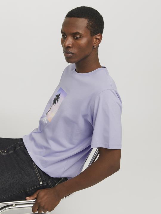 Produktbild Jack & Jones Jorvesterbro Picture Tee Ss Crew Neck Sn (XL)