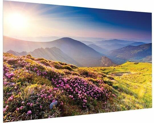 Image du produit Projecta FullVision - Manuel - 3,3 m (130 pouces) - 2,8 m - 175 cm - 16:10 - HD Progressif (130", 16:10)