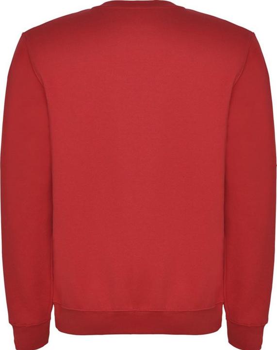 Actual product image Alpinia Unisex Adult Clasica Crew Neck Sweatshirt (M)
