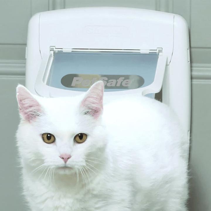 Image du produit Staywell Katzenklappe (Chatière magnétique)
