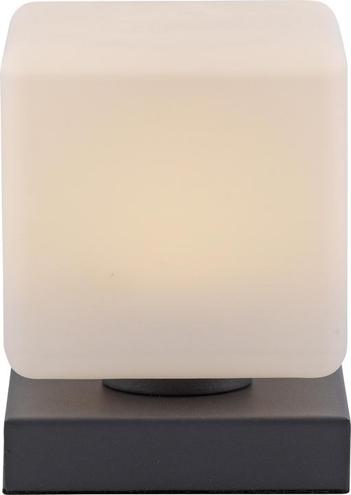 Produktbild Paul Neuhaus Dadoa (580 lm)