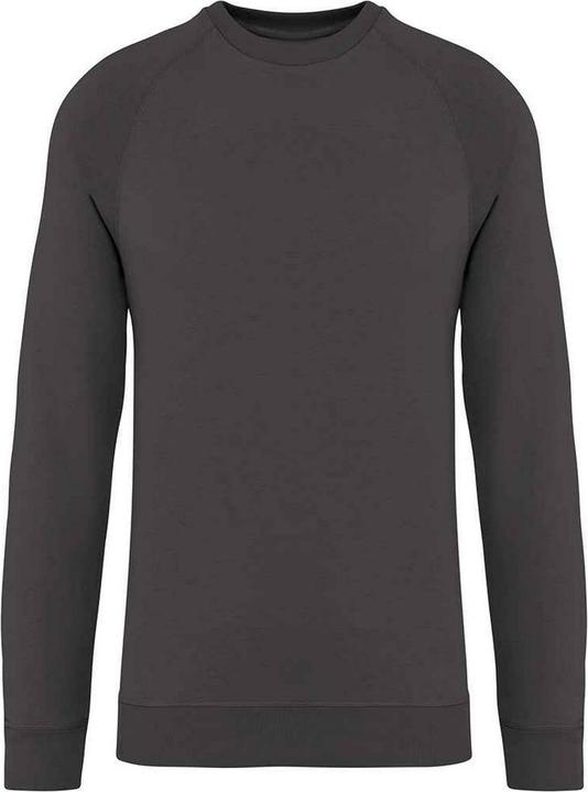 Native Spirit Sweatshirt Raglanärmel