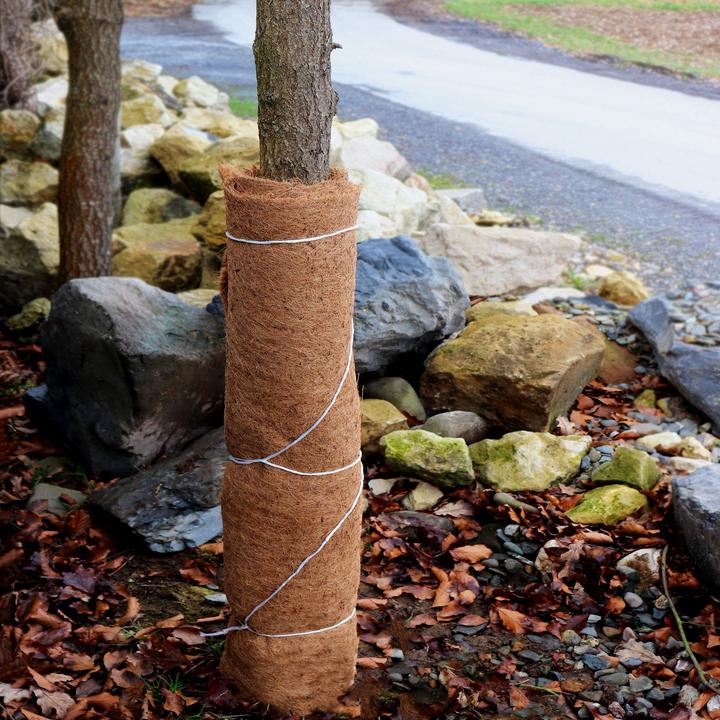Actual product image Aquagart 6m Kokosmatte Winterschutz Böschungsmatte Kokosfasermatte 800g/m² 1m breit