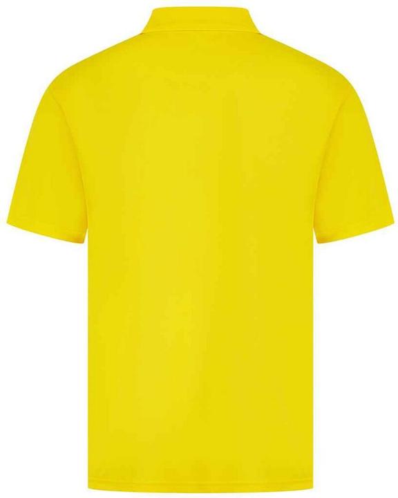 Immagine prodotto Henbury Maglietta Polo Uomo (M)
