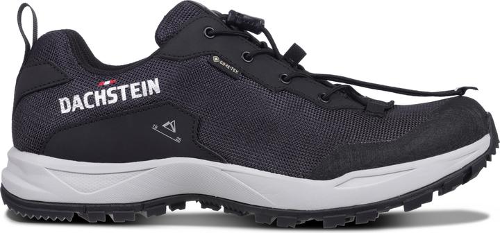 Dachstein Delta Ascent GTX