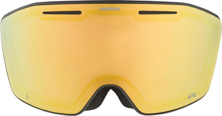 Actual product image ALPINA SPORTS Nendaz QV