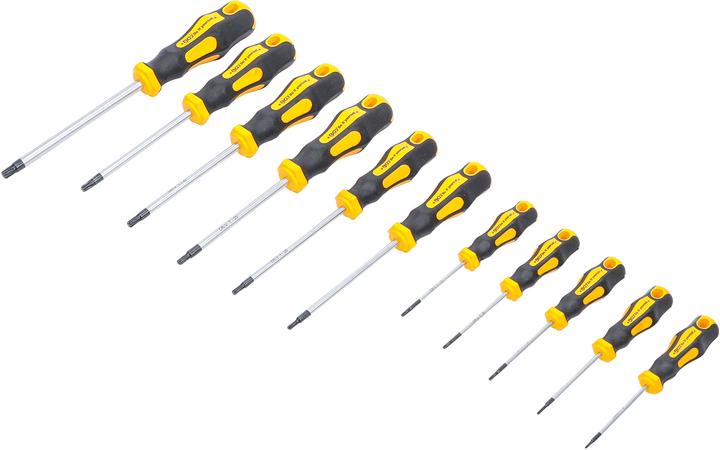Actual product image BGS Screwdriver set (T-section)