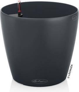 Lechuza Classico Color 70 (70 cm)