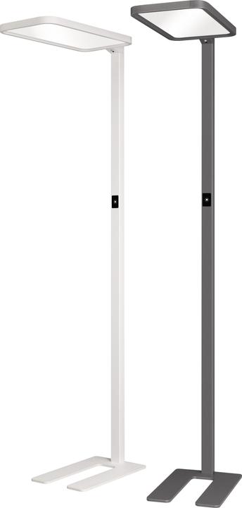 Actual product image Hansa Floor Lamp Sapphire LED Anthracite (7500 lm)