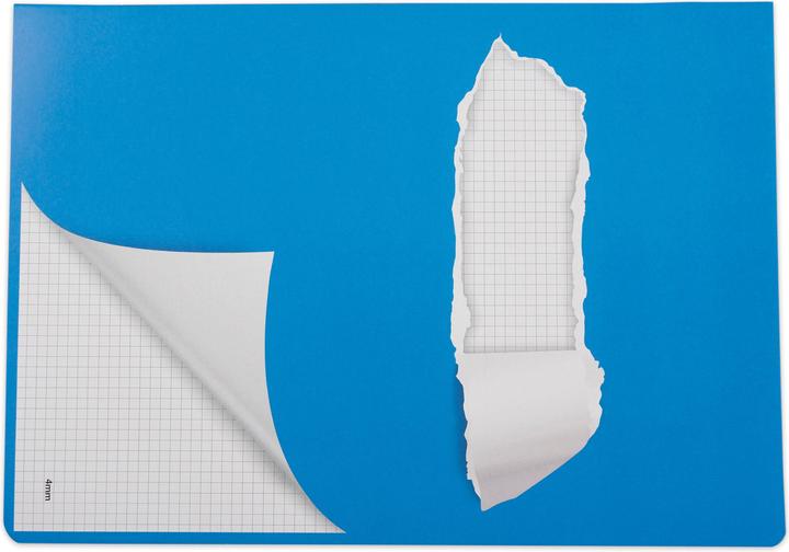 Immagine prodotto Elco Libro degli esercizi (A4, Quadretti, Copertina morbida)