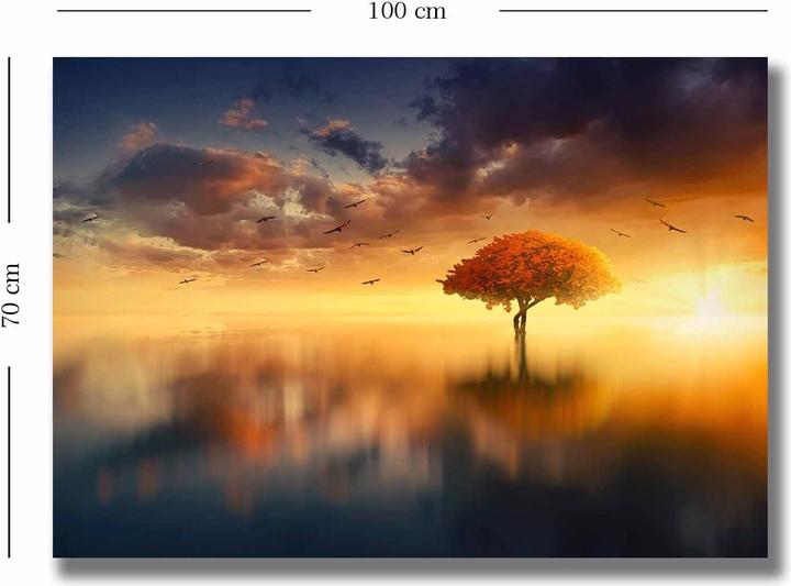 Produktbild Wallxpert Harry (70 x 100 cm)