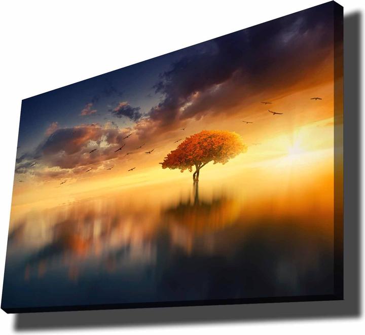 Produktbild Wallxpert Harry (70 x 100 cm)