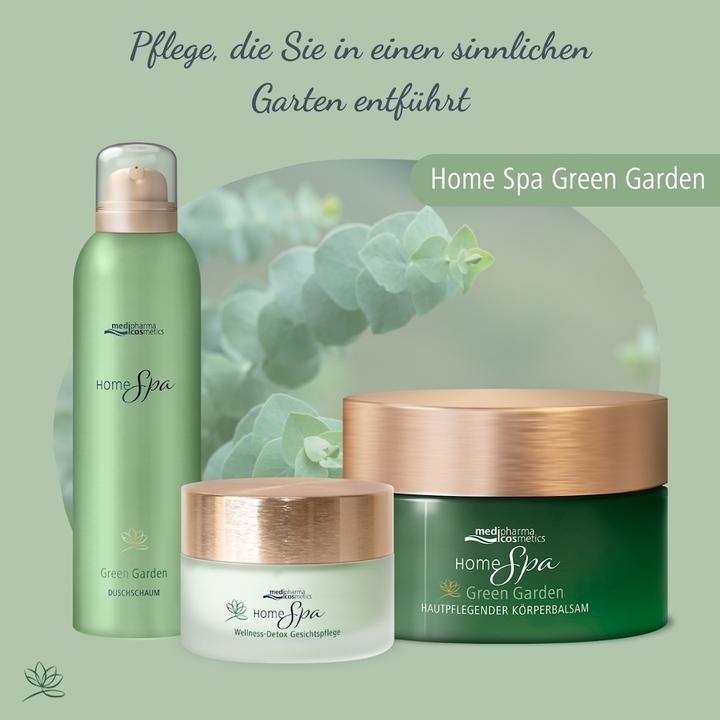 Image du produit Dr. Theiss Home Spa Wellne Detox Gesi, 50 ml CRE (50 ml)